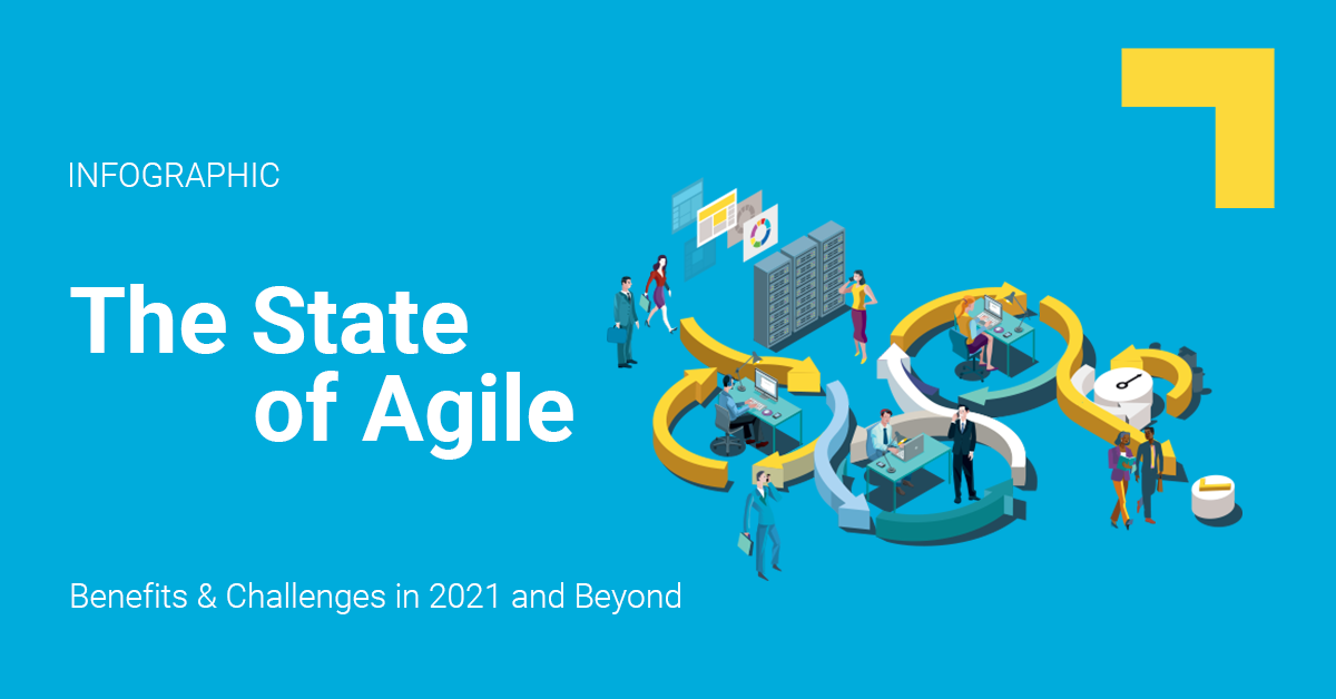 agile-infographic-social